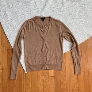 J Crew 100% Merino Wool Cardigan